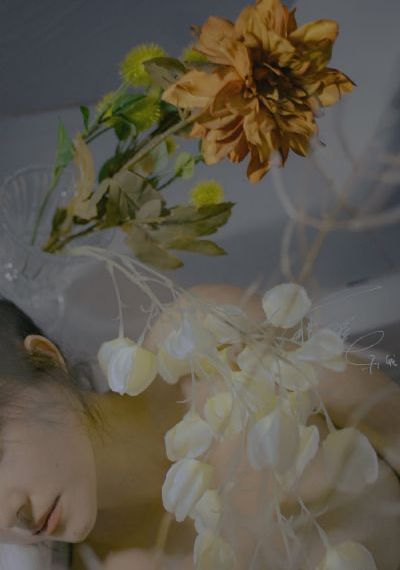 打开免费观看视频在线_1080P在线观看