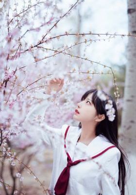 秋霞不卡_1080P高清完整版