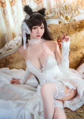 完美世界第145集免费观看_完整版BD高清中字